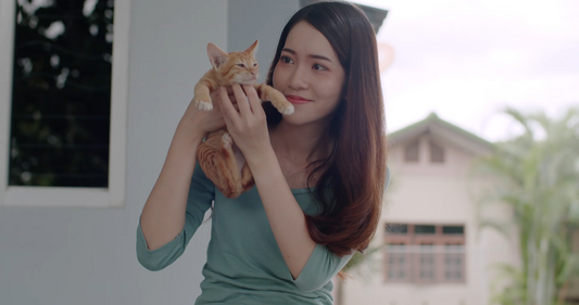 The Bond Ritual Why Small Daily Moments Matter More Than Big Gestures