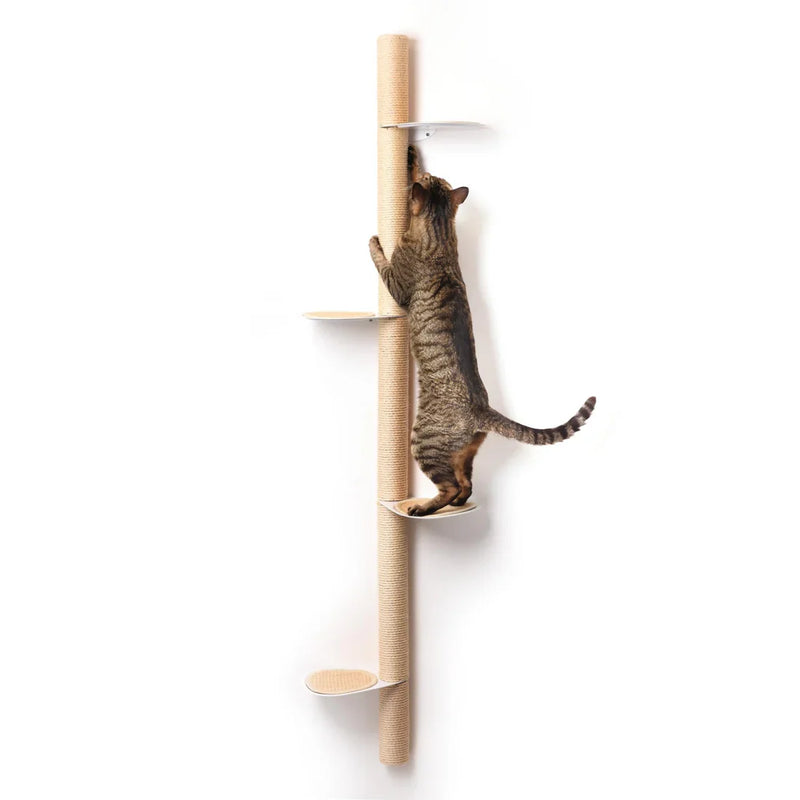 Minimalist Cat Trees