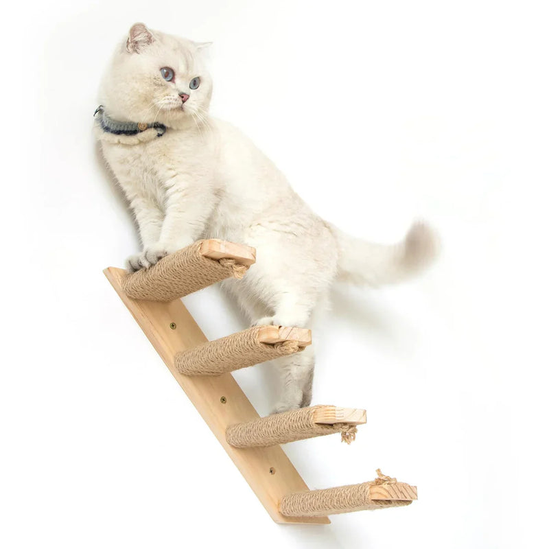 Cat Wall Steps & Ladders