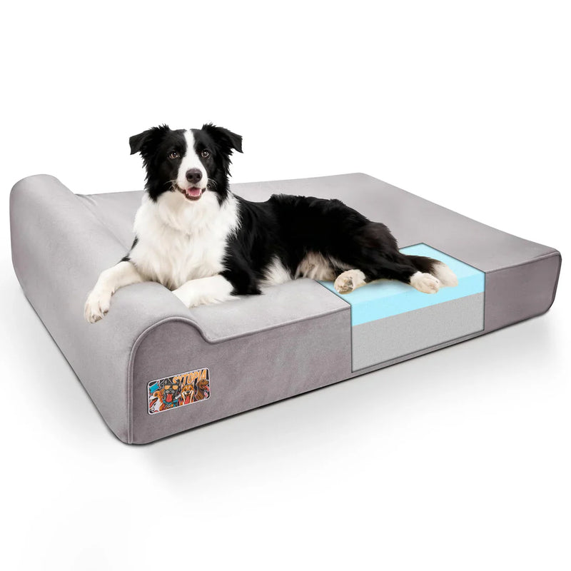 Large Breed Support Beds