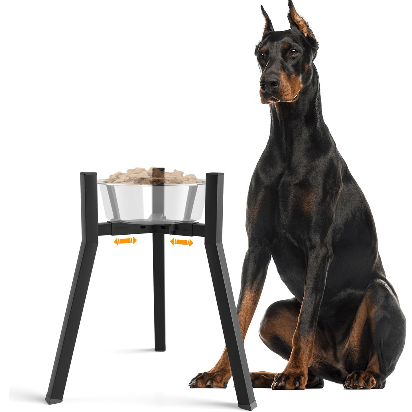 TIDANT Dog Bowl Stand