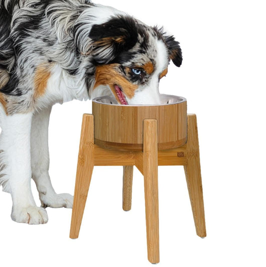 Raised Bamboo Dog Bowl - Set