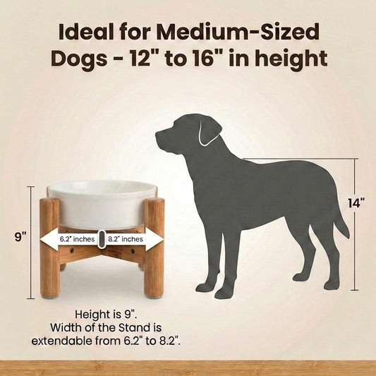 Raised Bamboo Dog Bowls