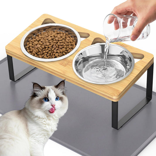 Elevated Cat Bowls with Food Mat, 2 Stainless Steel Raised Cat Food and Water Bowls, 15 Tilted Stand Anti Vomitting, Whisker Fatigue, Dishwasher Safe