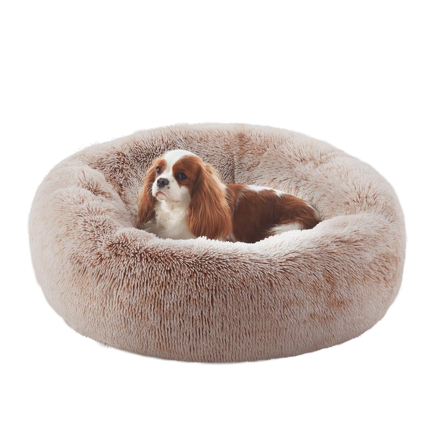 BedStill Donut Dog Bed