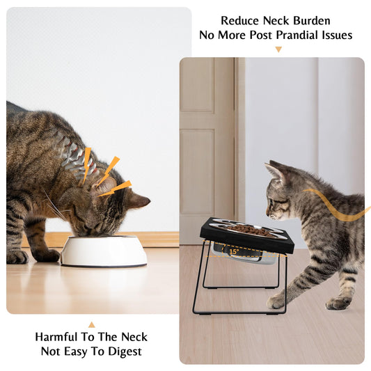 Elevated Cat Bowls for Food and Water - Loplurea 15° Tilted Raised Stainless Steel Cat Food Bowl with Bamboo Stand and Anti Vomit Feeding Station for Indoor Cats and Pet…