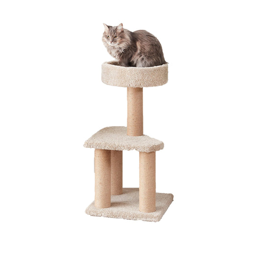 Amazon Basics Cat Tree Indoor Climbing Activity Tower with Scratching Posts