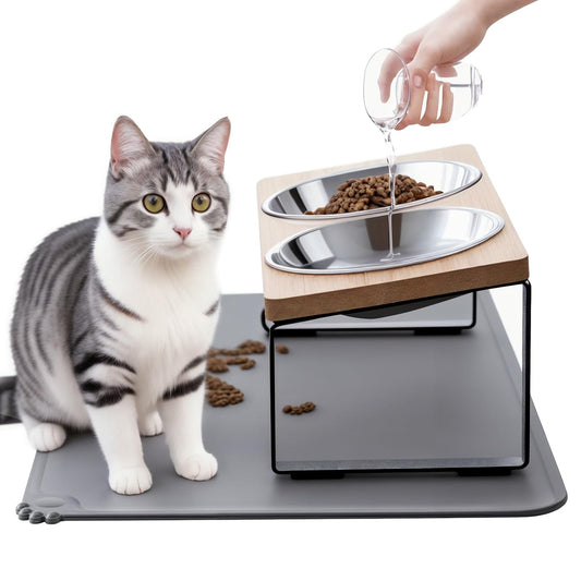 Upgraded Elevated Cat Bowls with Food Mat