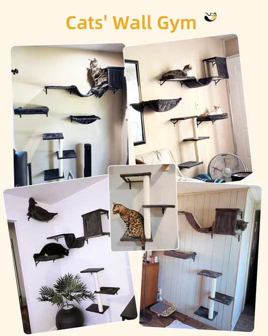 Aechonow Heavy Duty Cat Wall Shelves for Indoor Cats Large Adult, 17'' Large Hammock and Perch Bed for Wall, 5-in-1 Wall-Mounted Cat Climbing Set for Multi-Room Use