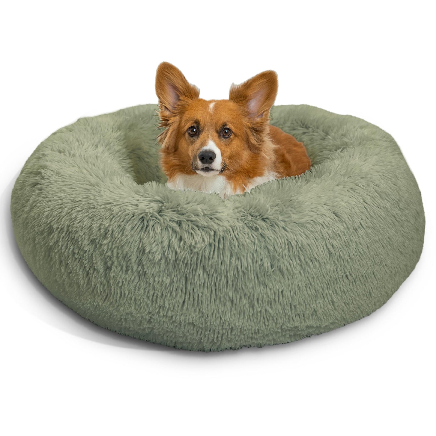 Best Friends by Sheri Donut Shag