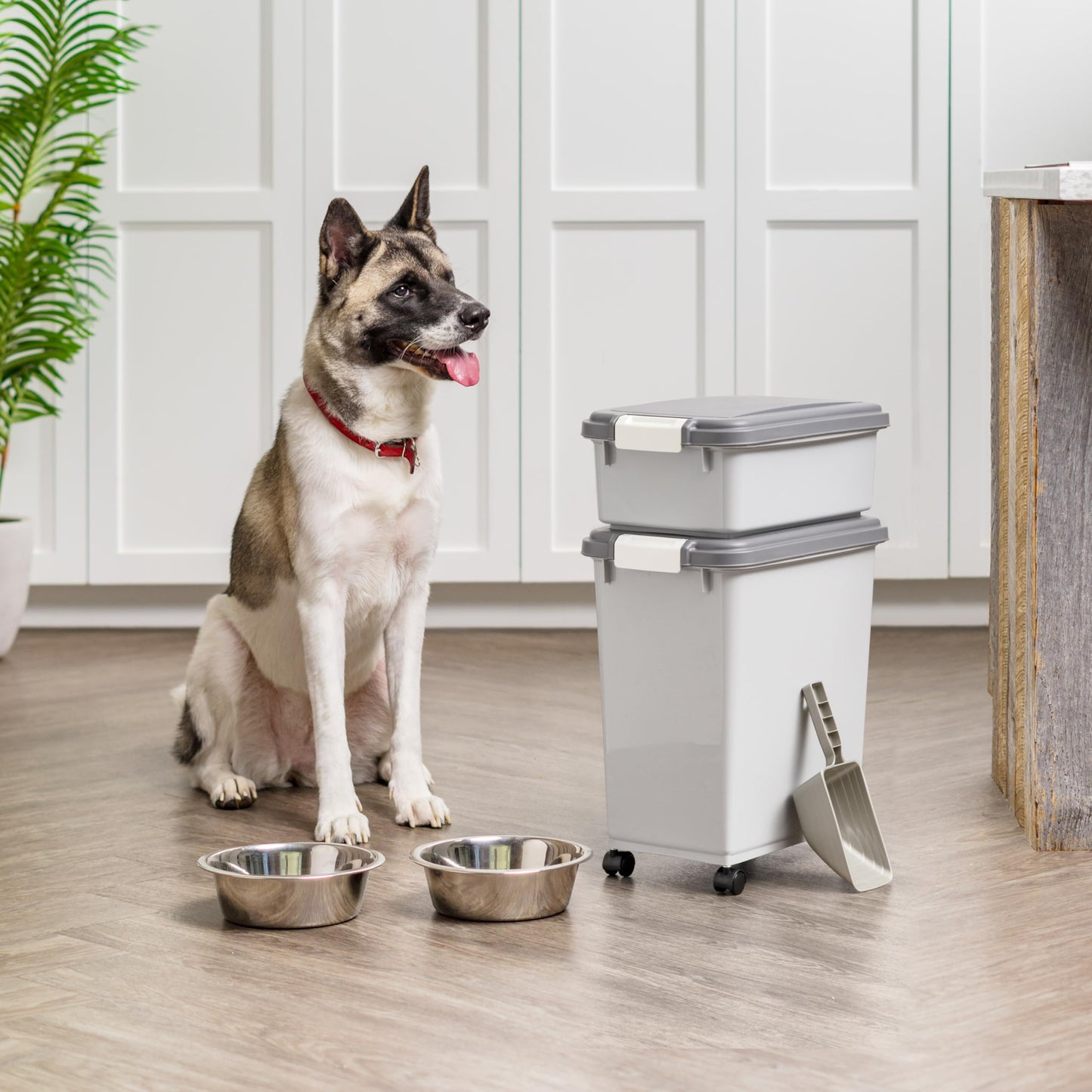 IRIS USA Dog Food Storage Container